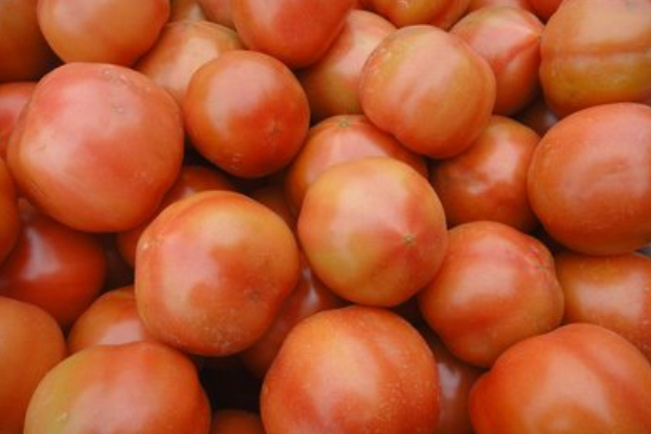西红柿酱油果的原因及预防方法有哪些？
