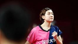 四年的努力成就了乒乓球超级皇冠 深圳大学成为“巨人”