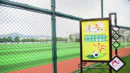 广东四市申办三级中国足球联赛 足协不检查上海