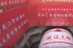 中国高铁海底飞驰：世界最深高铁海底隧道“深江铁路”珠江口隧道开始掘进